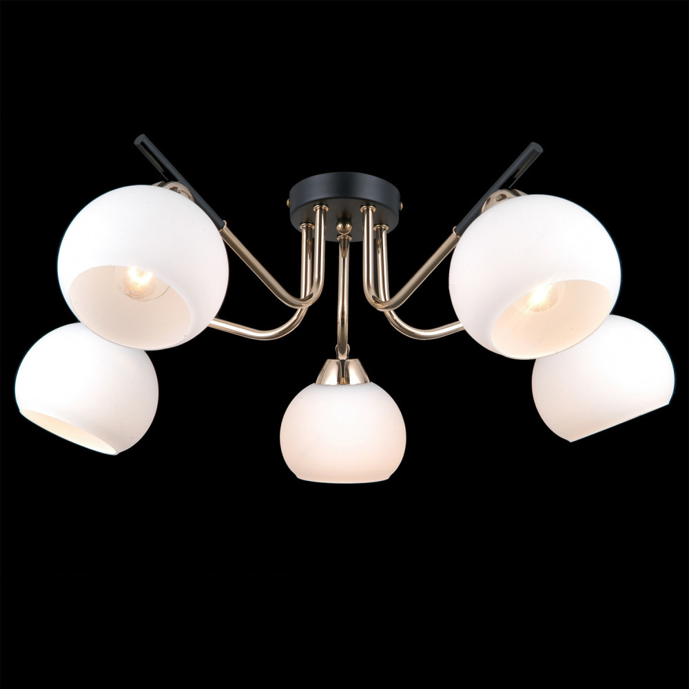 IL0713-5CSQ-24 BK FGD LIBRA_