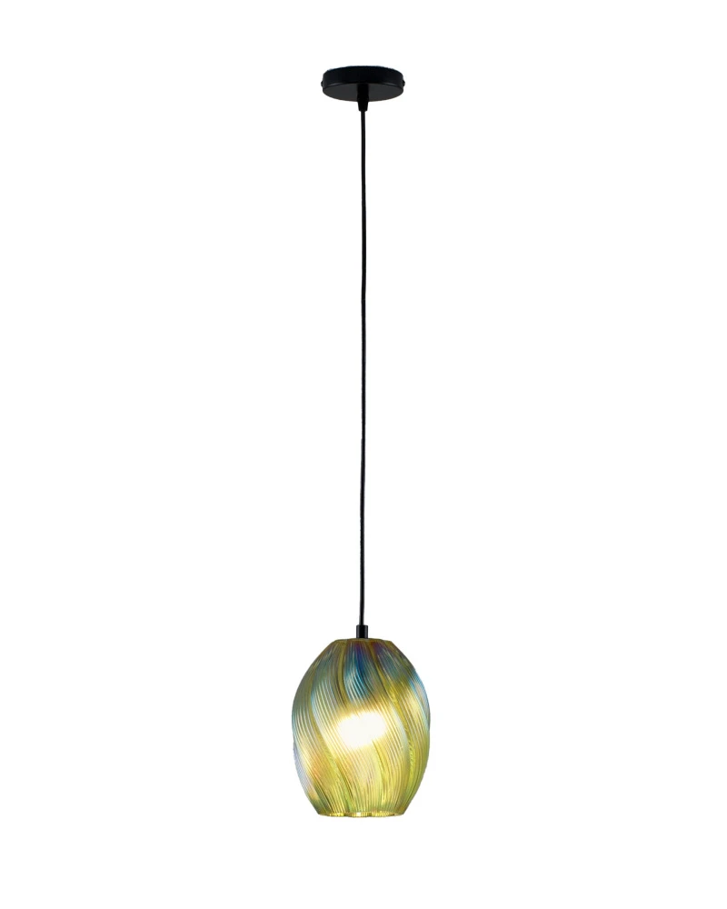 V11666-1P Moderli
