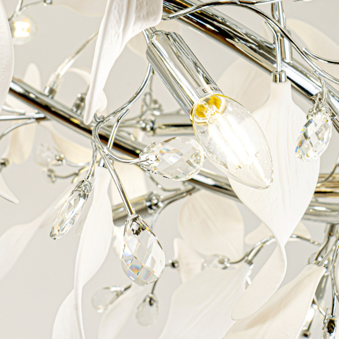 ML.6808.1000P CR Modelux