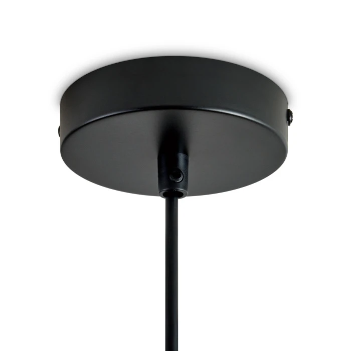 FR5595PL-01B3