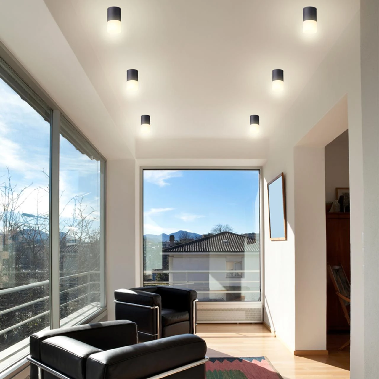 370678 Novotech