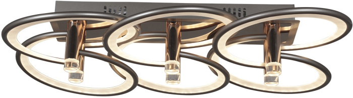 09253-0.3-6S Champaign silver_