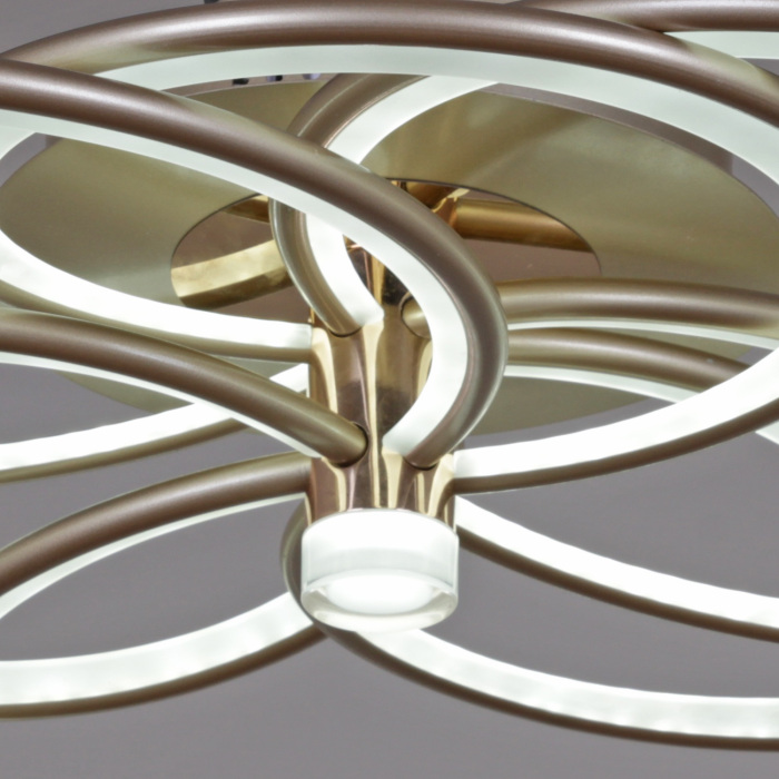 09246-0.3-3+3 Champaign silver_