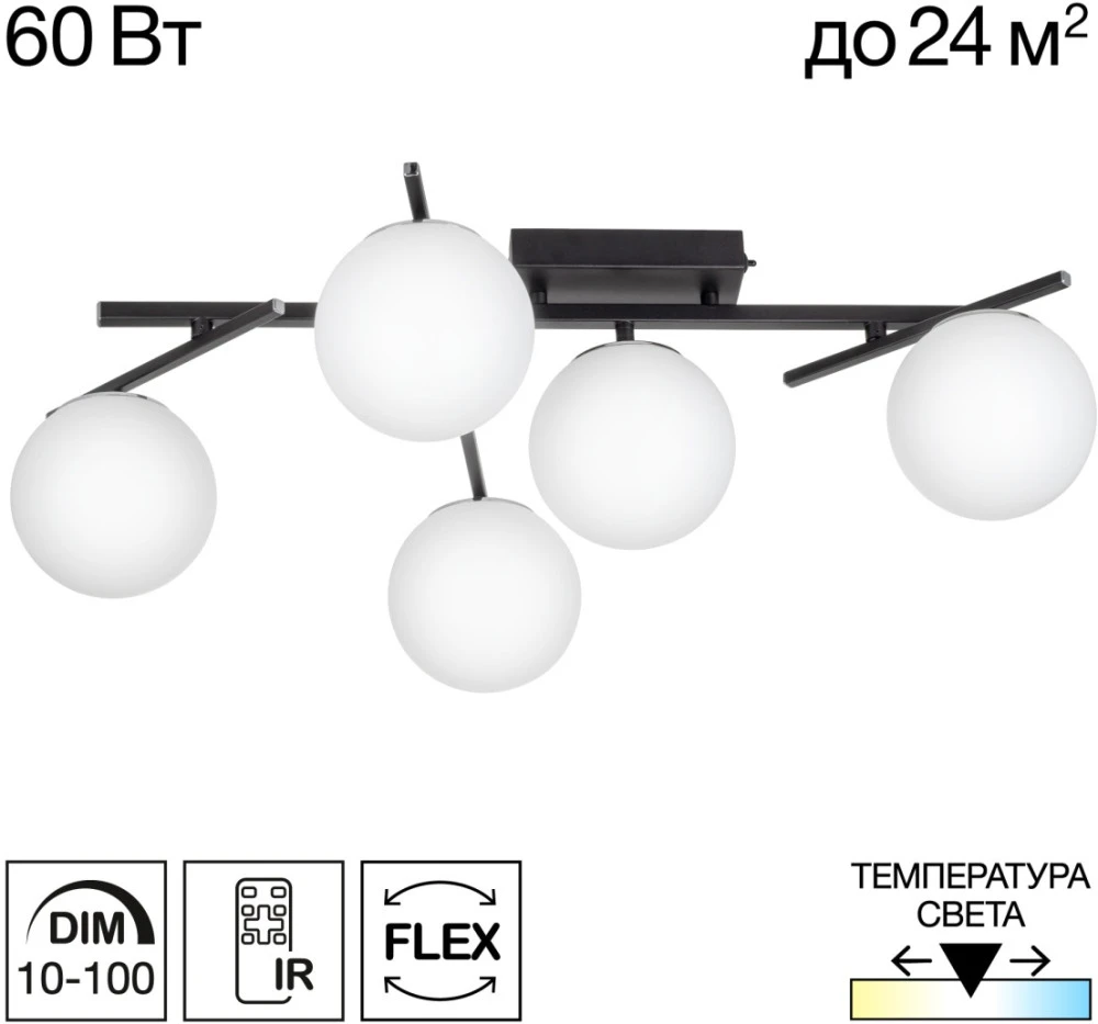 CL223152 Citilux