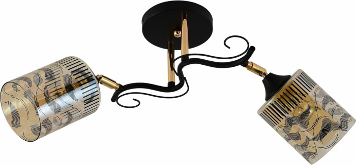 11313-0.3-02 BK+FGD_