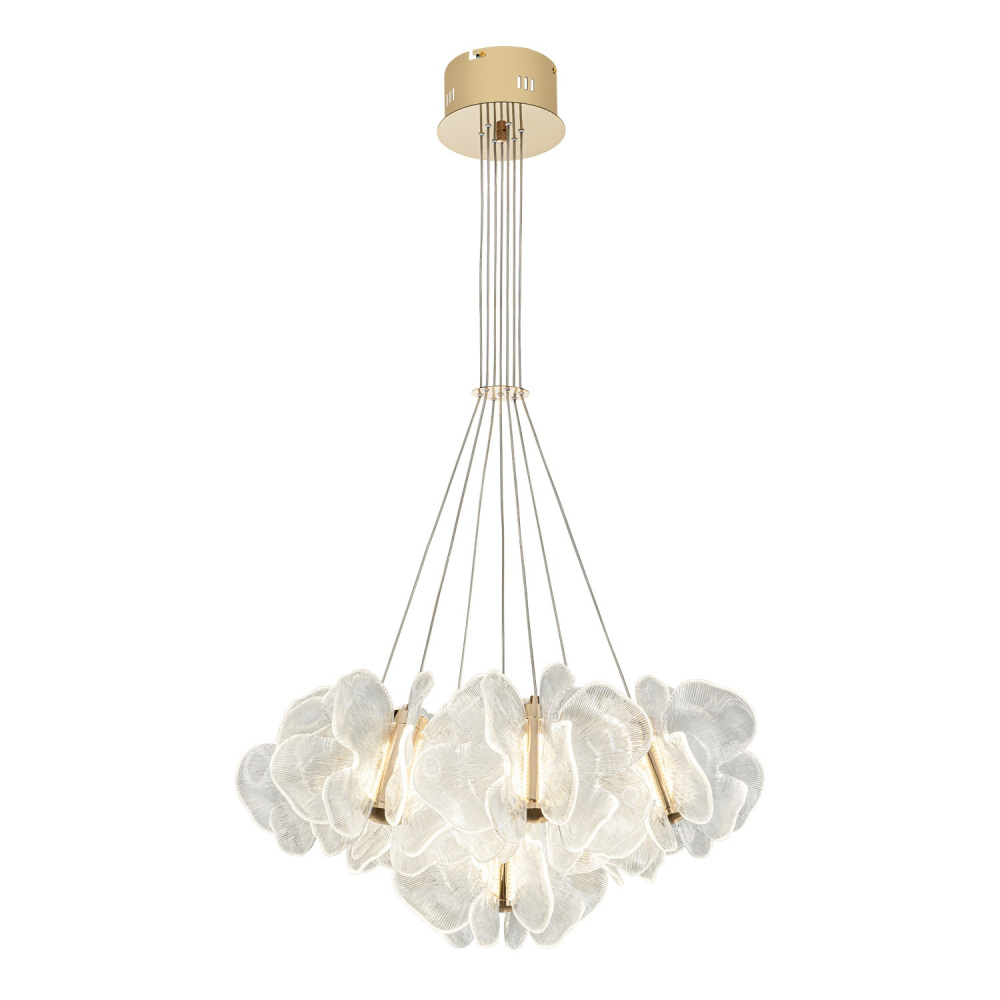 ML.6222.650 CP Modelux