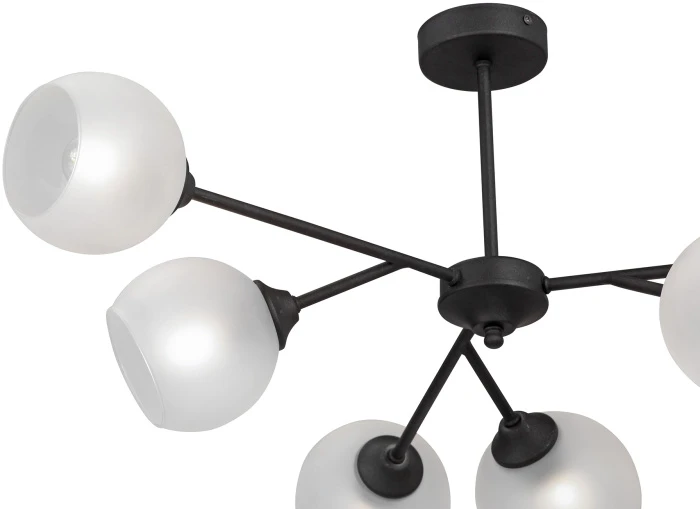 V3791-1/6PL Vitaluce