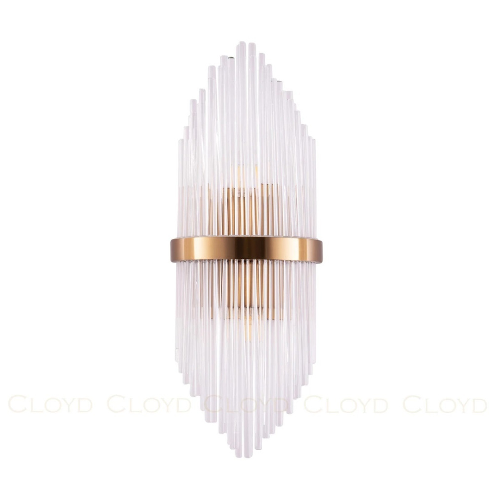 20473 Cloyd