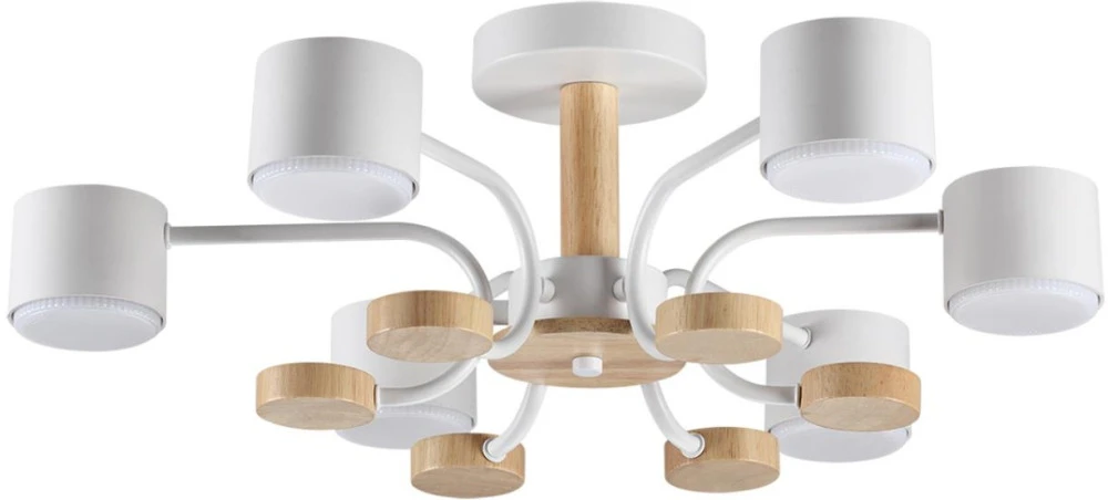 8231/6C Lumion