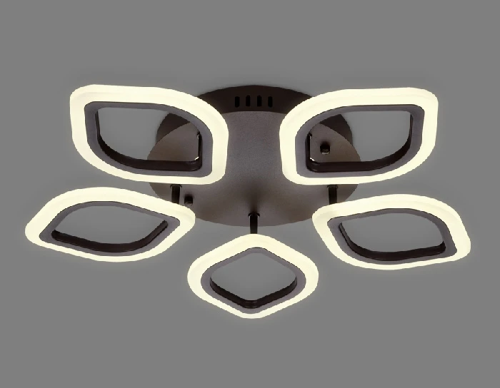 FA443 Ambrella