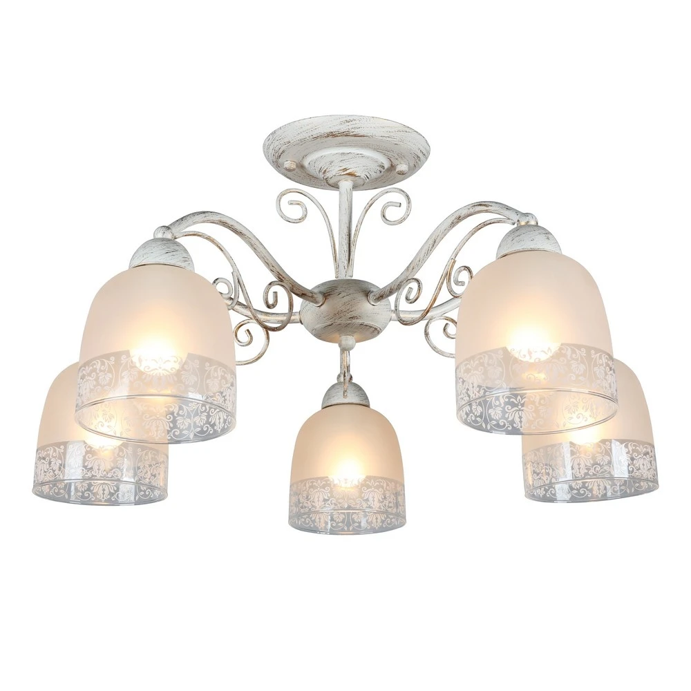 OML-54907-05 Omnilux