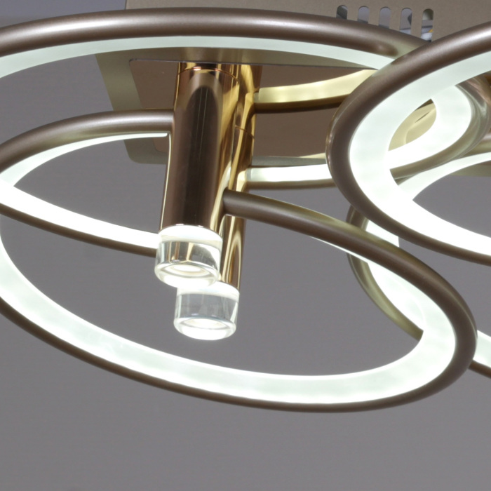 09253-0.3-6S Champaign silver_