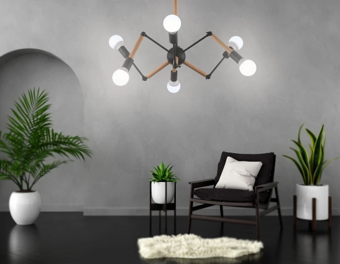 TR80488 Ambrella