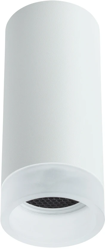 A5556PL-1WH Arte Lamp