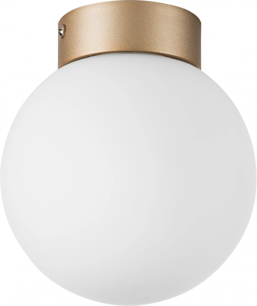 812013 Lightstar