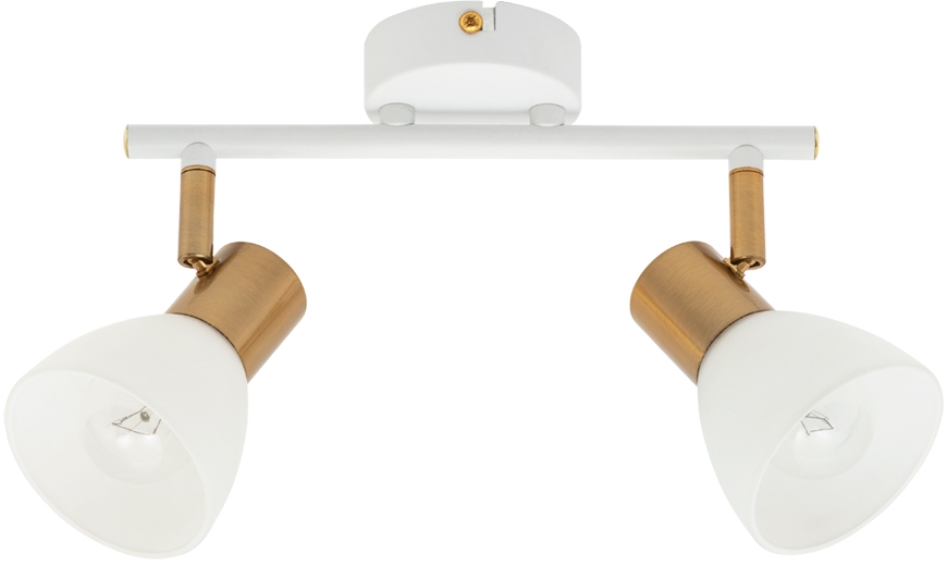 Потолочный светильник Falena A3117PL-2WH Arte Lamp