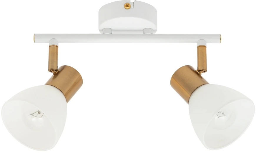 A3117PL-2WH Arte Lamp