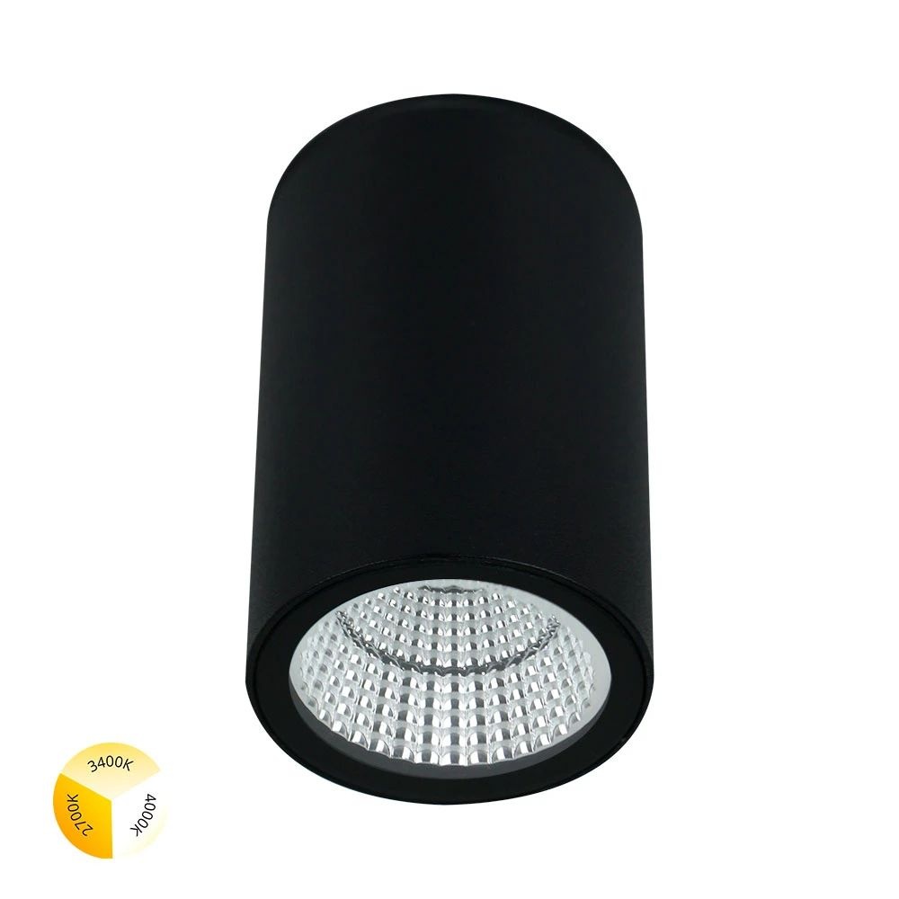 A1307PF-1BK Arte Lamp