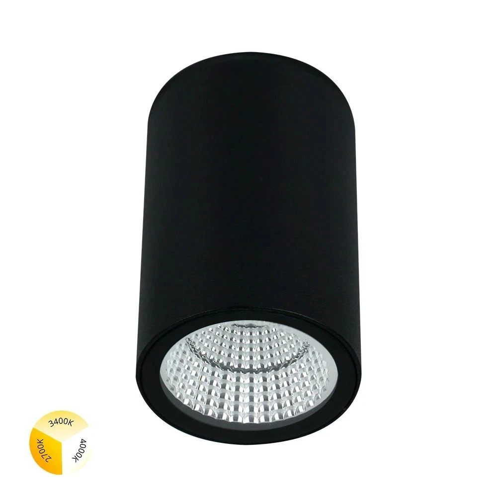 A1307PF-1BK Arte Lamp
