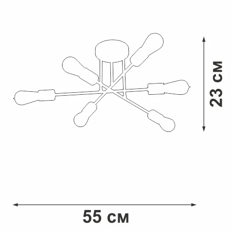 V3764-1/6PL Vitaluce