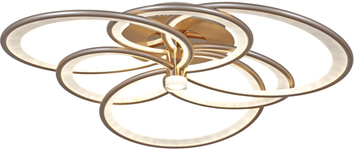 09246-0.3-3+3 Champaign silver_