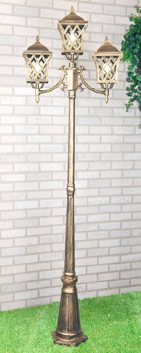 Cassiopeya F/3 черное золото_