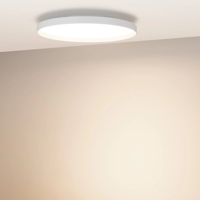 054800 Arlight