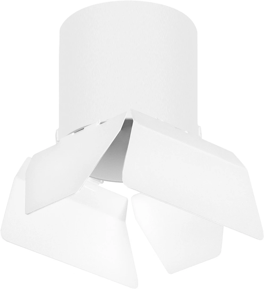 R3486486 Lightstar