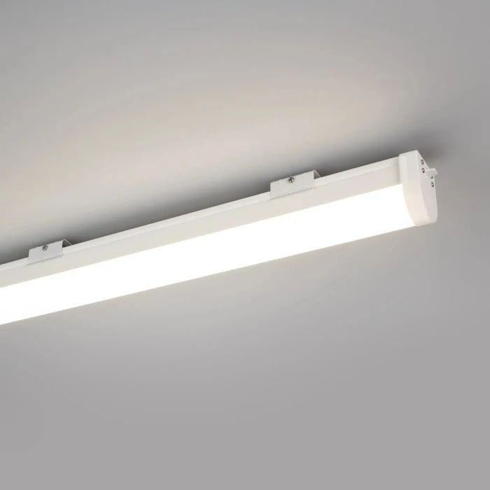 055004 Arlight