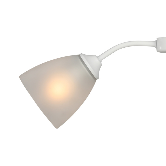 V3750/2PL Vitaluce