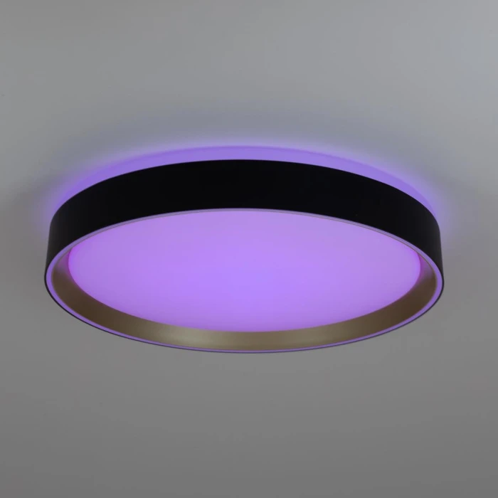 CL751351G Citilux