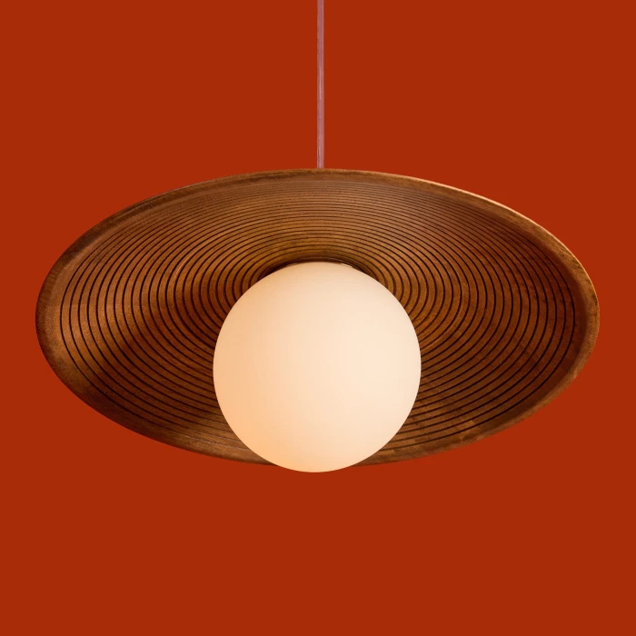 FR5589PL-01T1