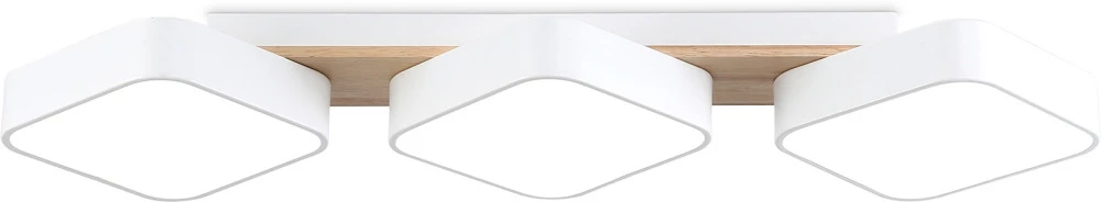 FL4877 Ambrella