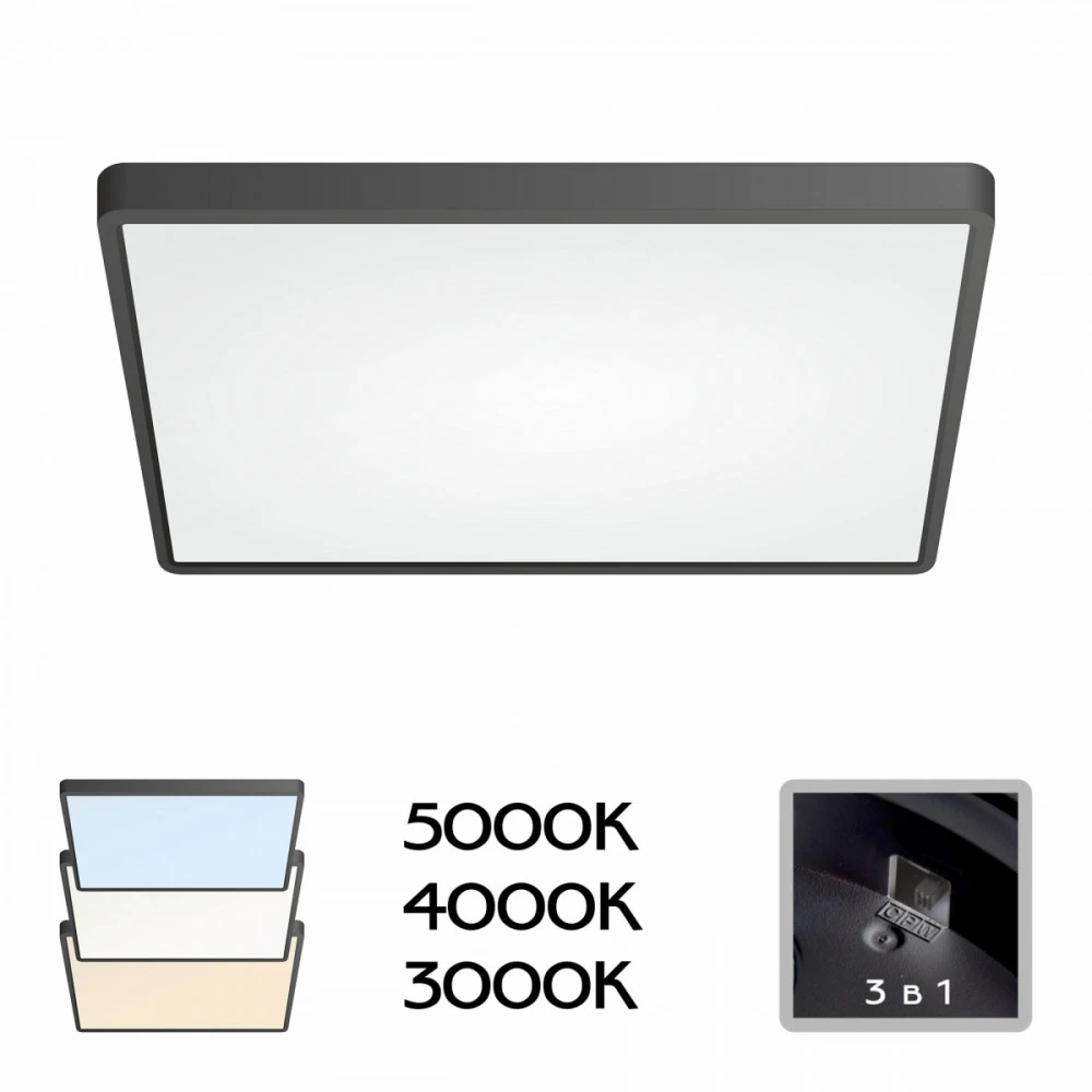 CL738K501V Citilux