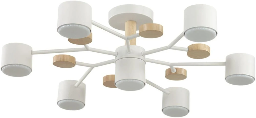 8195/7C Lumion