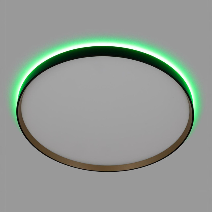 CL750501R Citilux