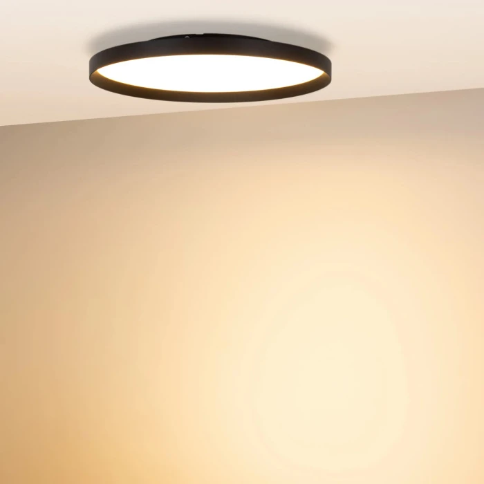 055365 Arlight