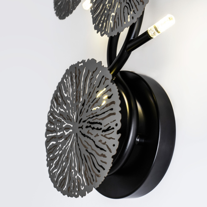 MS.1502.05 BK Modelux