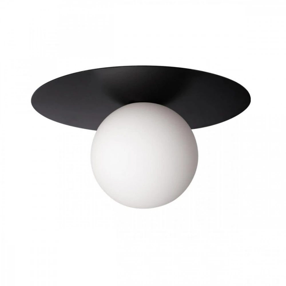 10120/250C Black Loft It