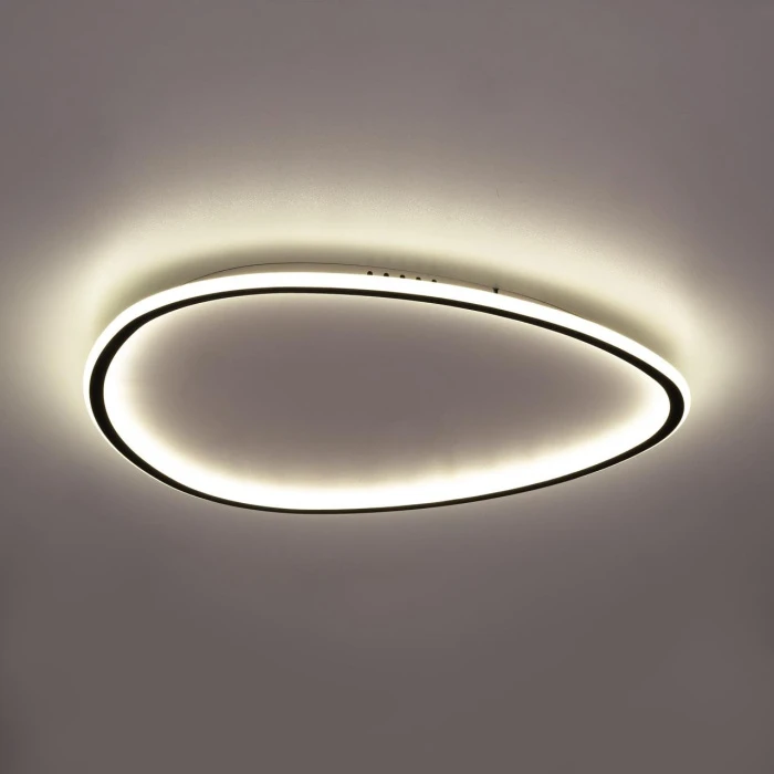 CL215B261E Citilux
