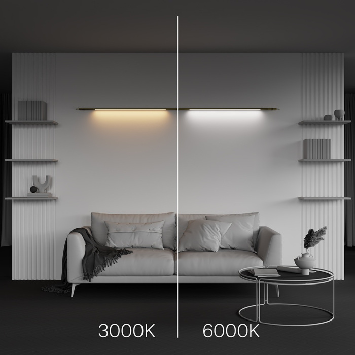 C100CL-L1000-24W3-6K-BS_