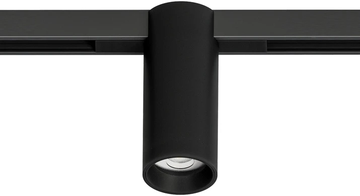 A7290PL-1BK Arte Lamp