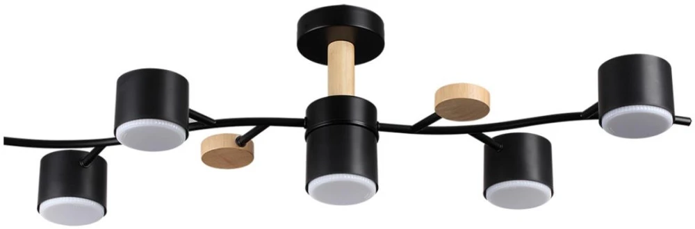 8194/5C Lumion