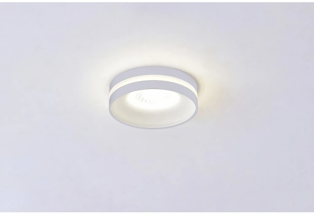 OML-102709-01 Omnilux