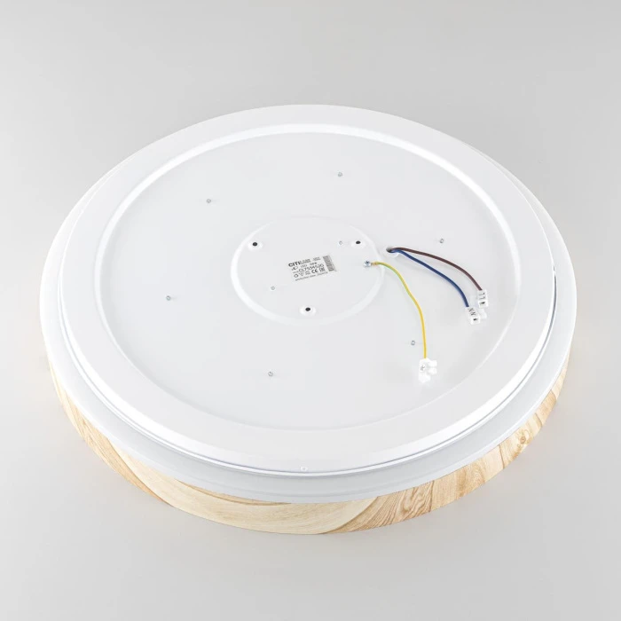 CL753452G Citilux