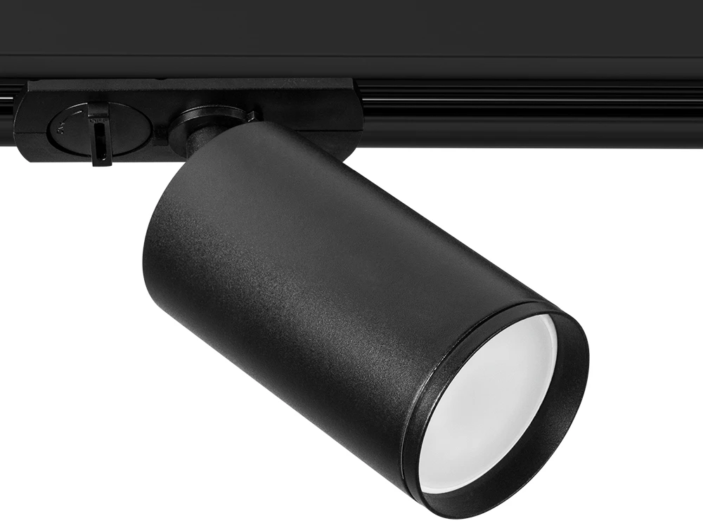 A1519PL-1BK Arte Lamp