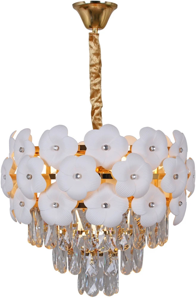 IL8139-5 ILLUMICO
