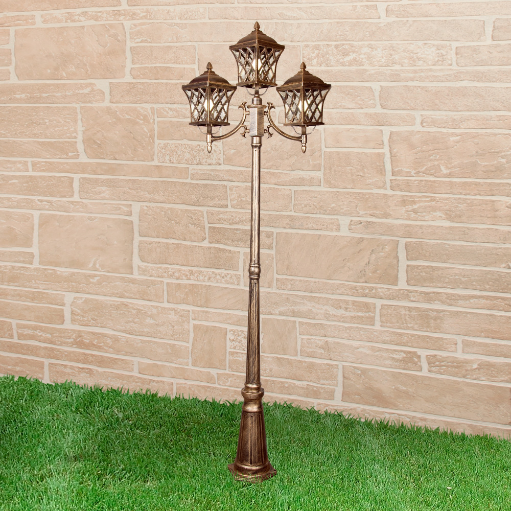 Cassiopeya F/3 черное золото_