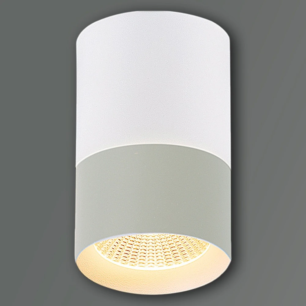 30410-9.5-001RT LED10W WT Reluce