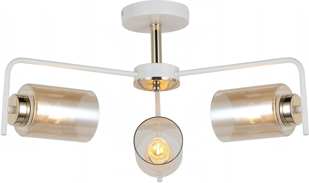 IL8248-3COU-79 WH GD_